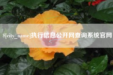 梧州执行信息公开网查询系统官网