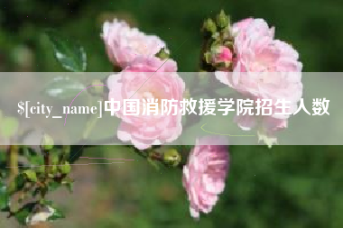 梧州中国消防救援学院招生人数
