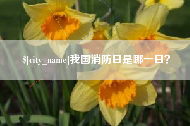 梧州我国消防日是哪一日？