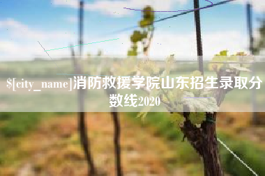 梧州消防救援学院山东招生录取分数线2020