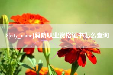 梧州消防职业资格证书怎么查询