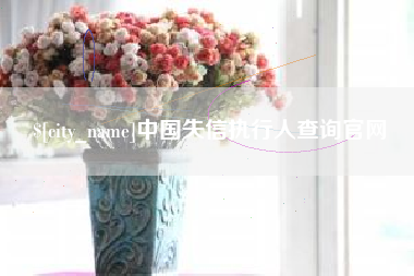 梧州中国失信执行人查询官网