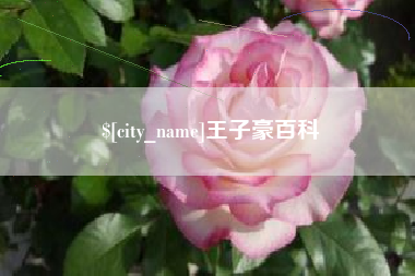 梧州王子豪百科