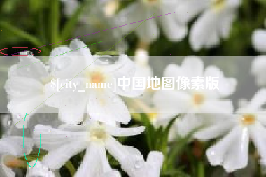 梧州中国地图像素版