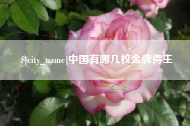 梧州中国有哪几枚金牌得主