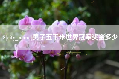 梧州男子五千米世界冠军奖金多少