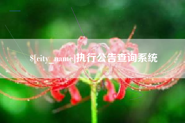 梧州执行公告查询系统