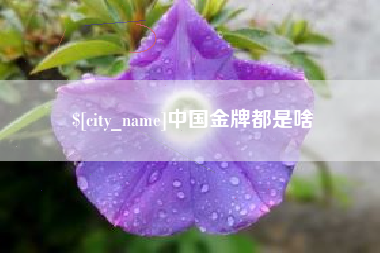 梧州中国金牌都是啥