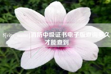 梧州消防中级证书电子版查询多久才能查到