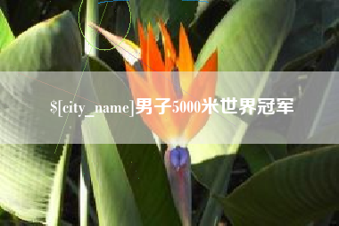 梧州男子5000米世界冠军