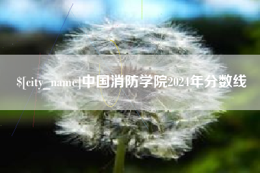梧州中国消防学院2024年分数线