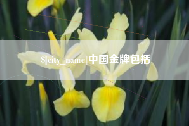 梧州中国金牌包括