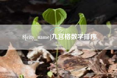 梧州九宫格数字排序