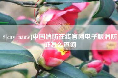 梧州中国消防在线官网电子版消防证怎么查询