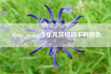 梧州今年九宫格的不利颜色