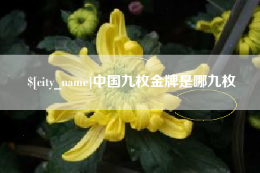 梧州中国九枚金牌是哪九枚