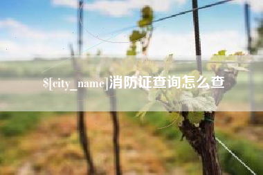 梧州消防证查询怎么查