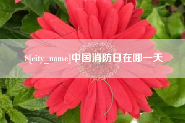 梧州中国消防日在哪一天