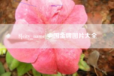 梧州中国金牌图片大全