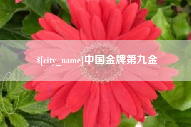 梧州中国金牌第九金
