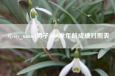 梧州男子5000米年龄成绩对照表
