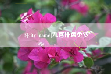 梧州九宫排盘免费