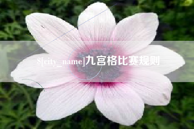 梧州九宫格比赛规则