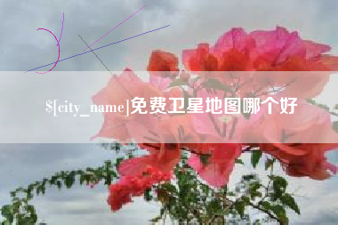 梧州免费卫星地图哪个好