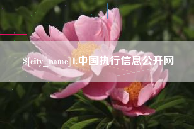 梧州1.中国执行信息公开网