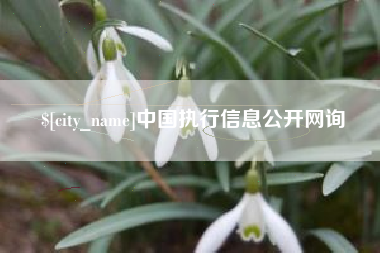梧州中国执行信息公开网询