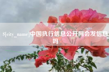 梧州中国执行信息公开网会发信息吗