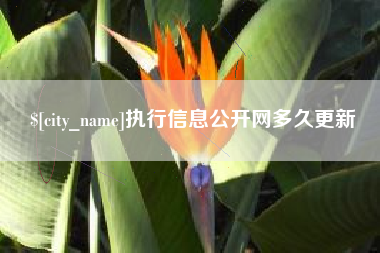 梧州执行信息公开网多久更新
