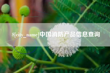 梧州中国消防产品信息查询