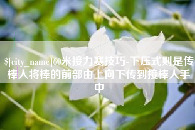 梧州60米接力赛技巧-下压式则是传棒人将棒的前部由上向下传到接棒人手中
