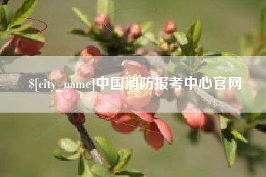 梧州中国消防报考中心官网