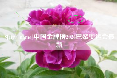 梧州中国金牌榜2024巴黎奥运会最新