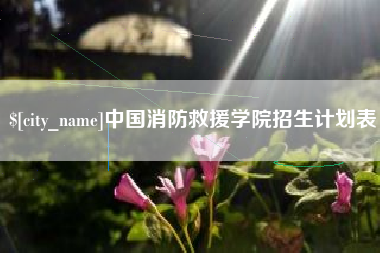梧州中国消防救援学院招生计划表