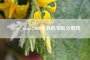 梧州2020年消防学院分数线