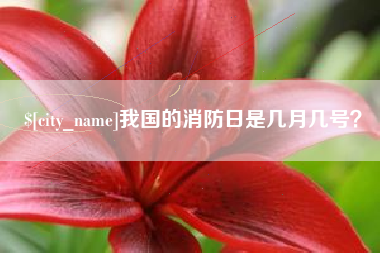 梧州我国的消防日是几月几号？