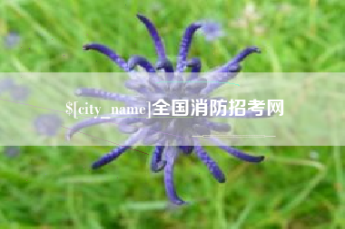 梧州全国消防招考网