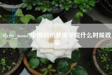 梧州中国消防救援学院什么时候政审