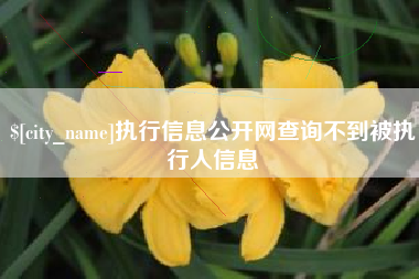 梧州执行信息公开网查询不到被执行人信息