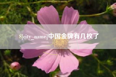梧州中国金牌有几枚了