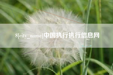 梧州中国执行执行信息网