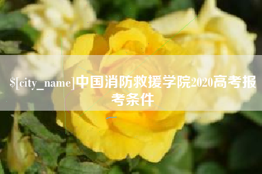 梧州中国消防救援学院2020高考报考条件