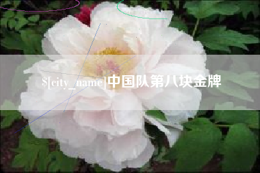 梧州中国队第八块金牌