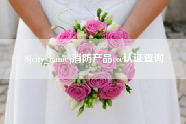 梧州消防产品ccc认证查询