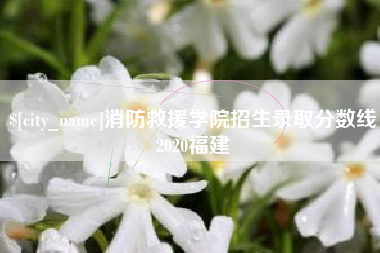 梧州消防救援学院招生录取分数线2020福建