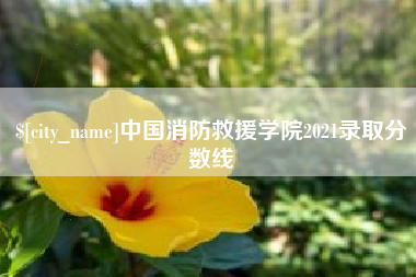 梧州中国消防救援学院2021录取分数线