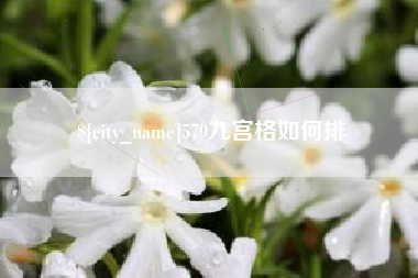 梧州579九宫格如何排